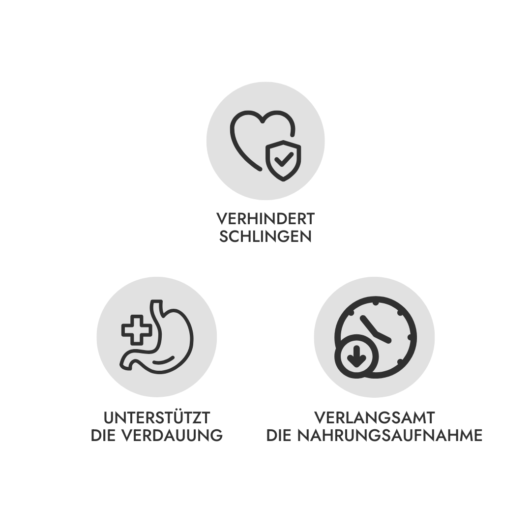 2-in-1 Anti Schling Napf & Schleckmatte WATER Nude