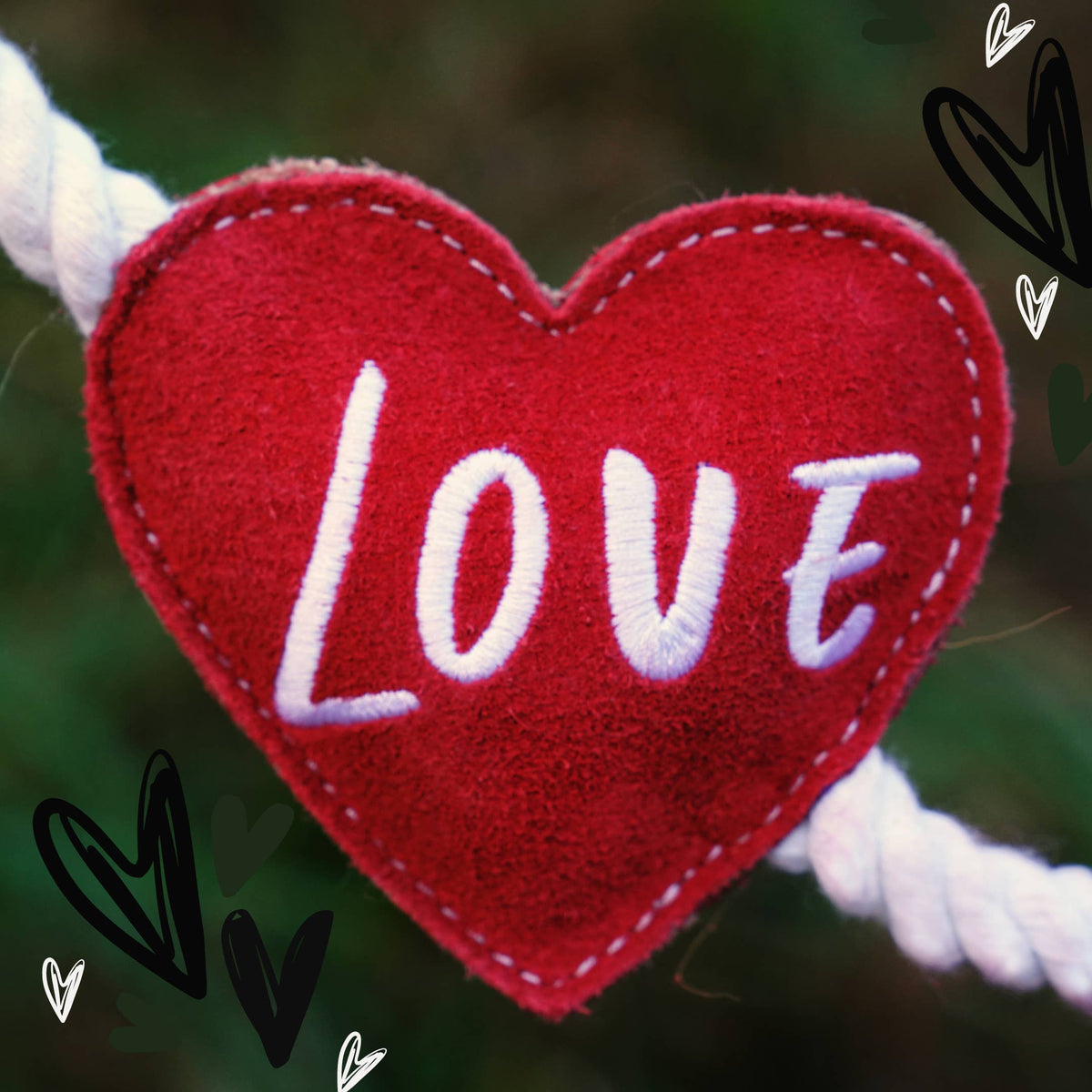 Herzförmiges Öko-Hundespielzeug (Herzstränge)