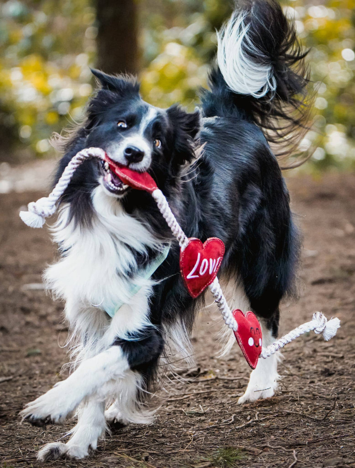 Herzförmiges Öko-Hundespielzeug (Herzstränge)