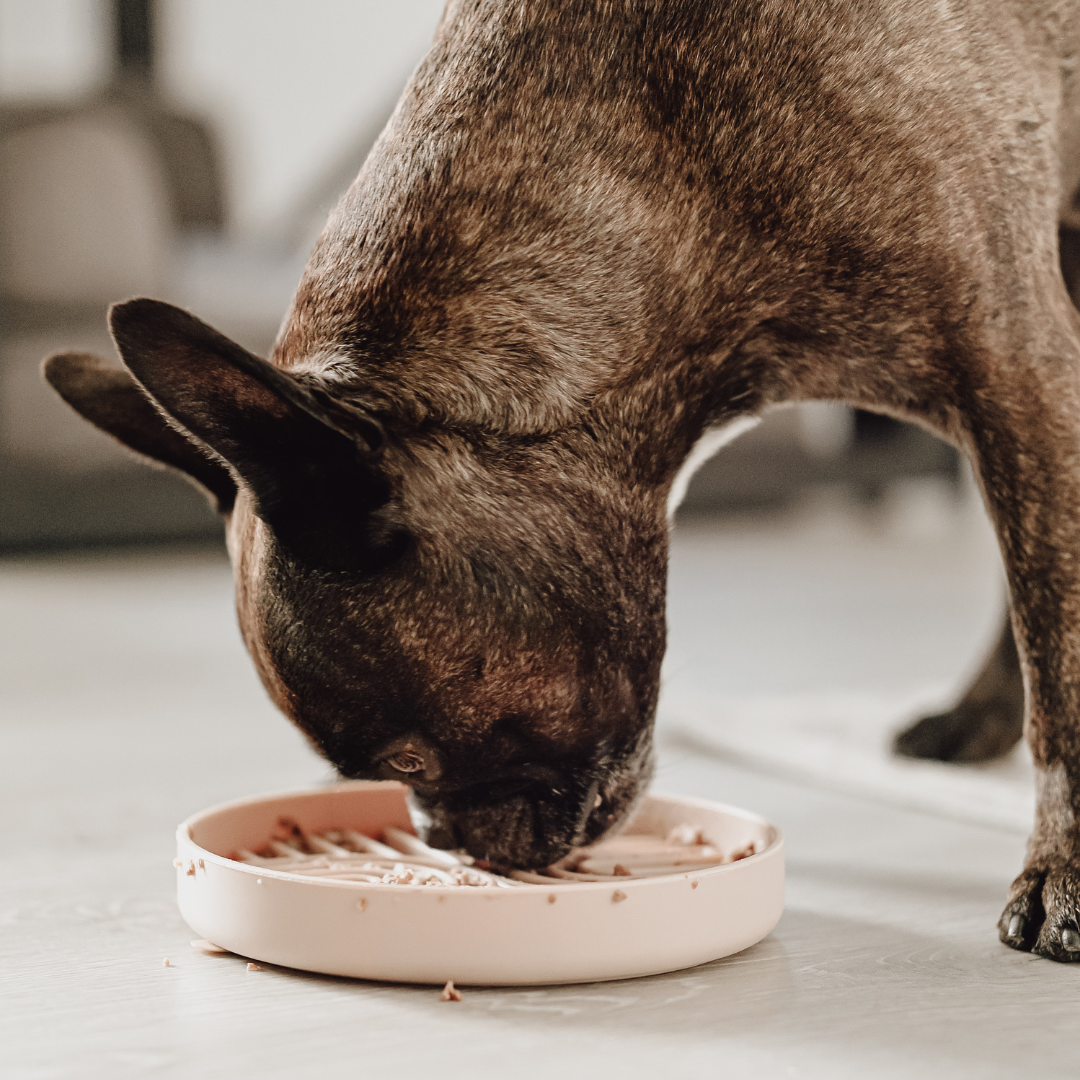 2-in-1 Anti Schling Napf & Schleckmatte WATER Nude