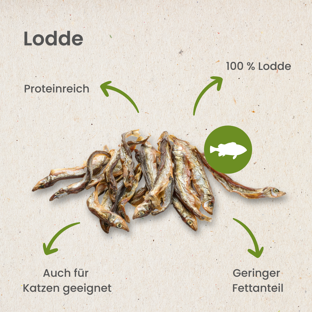 Lodde: 100 g