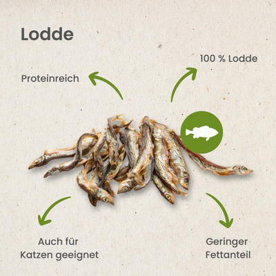 Lodde: 100 g