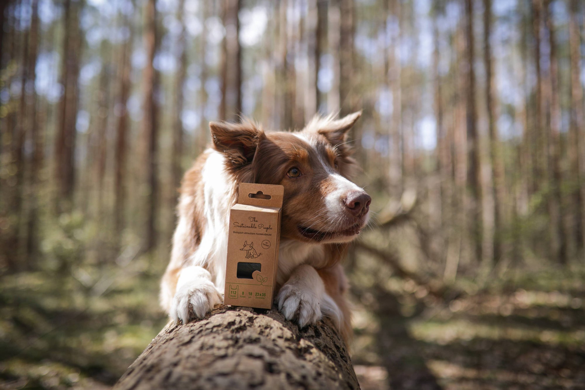 Biologisch abbaubare Hundekotbeutel mit Henkeln