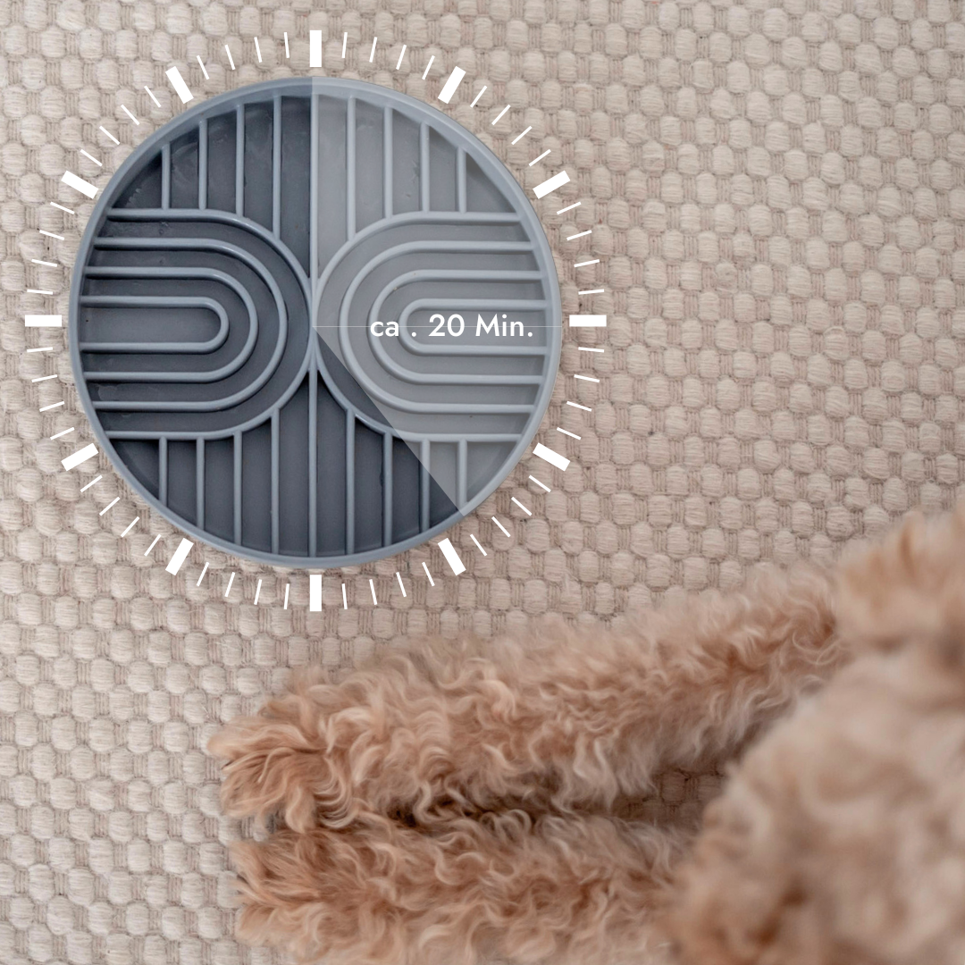 2-in-1 Anti Schling Napf & Schleckmatte WATER Nude