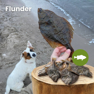 Flunder: 100g