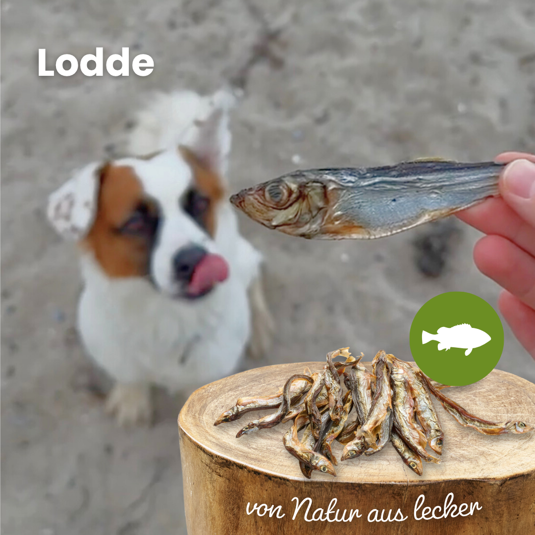 Lodde: 100 g