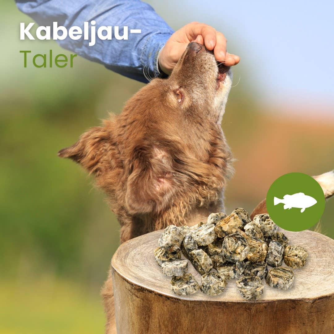 Kabeljau-Taler: 100g