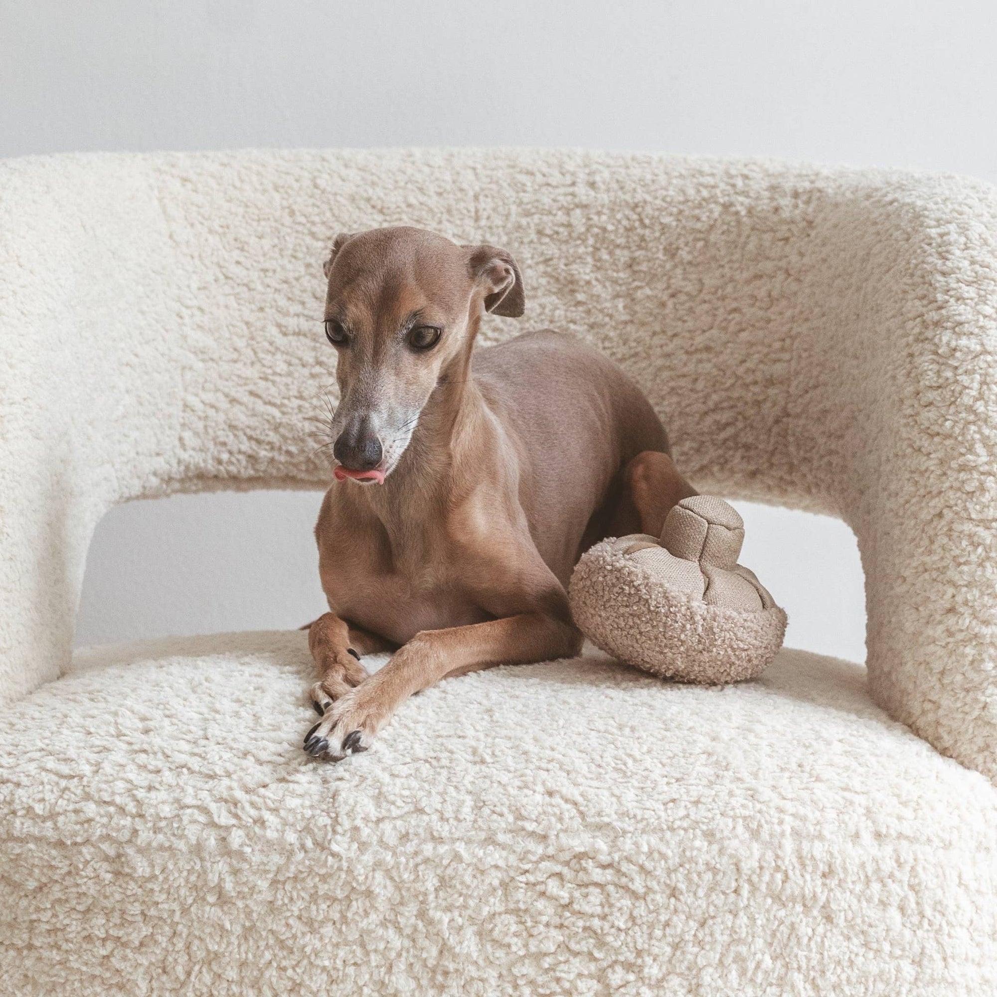 „Mush“ Bereicherungsspielzeug: Pilz